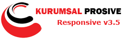 Kurumsal Web Paketi Prosive v3.5